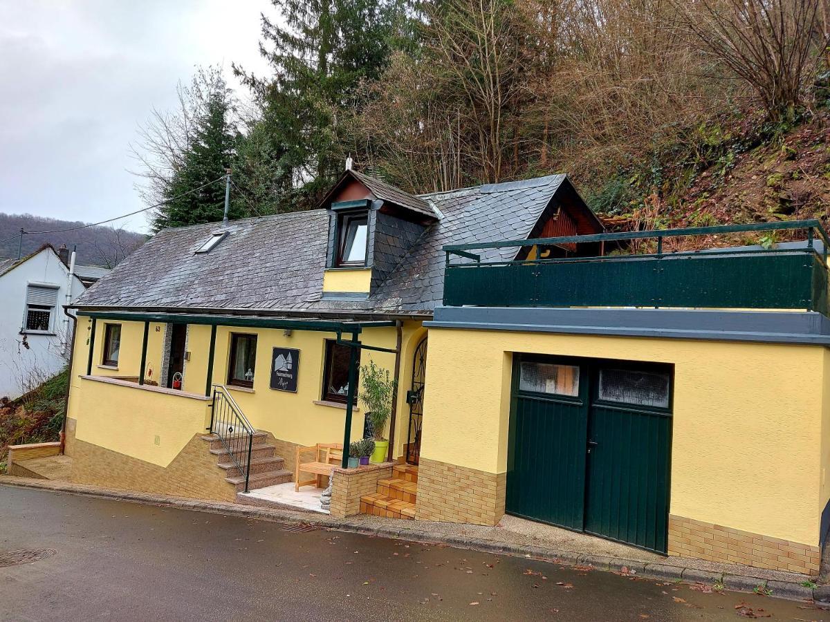 Ferienhaus Meijer Villa Briedel Kültér fotó