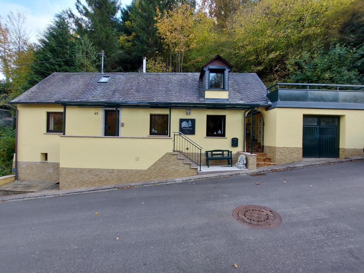 Ferienhaus Meijer Villa Briedel Kültér fotó